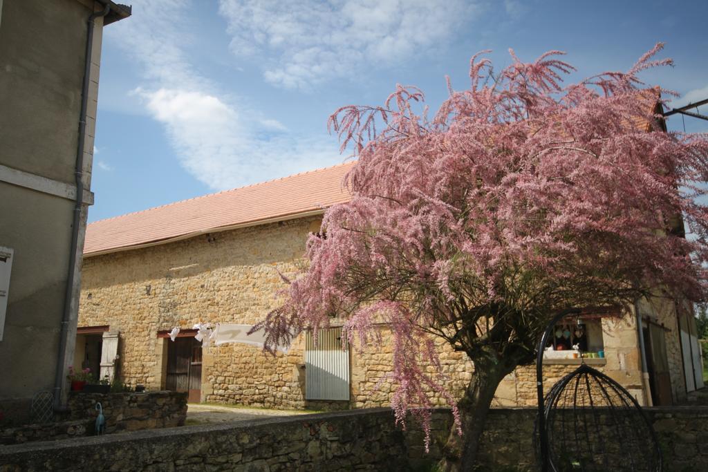 La Maison Du Bonheur Anlhiac ภายนอก รูปภาพ