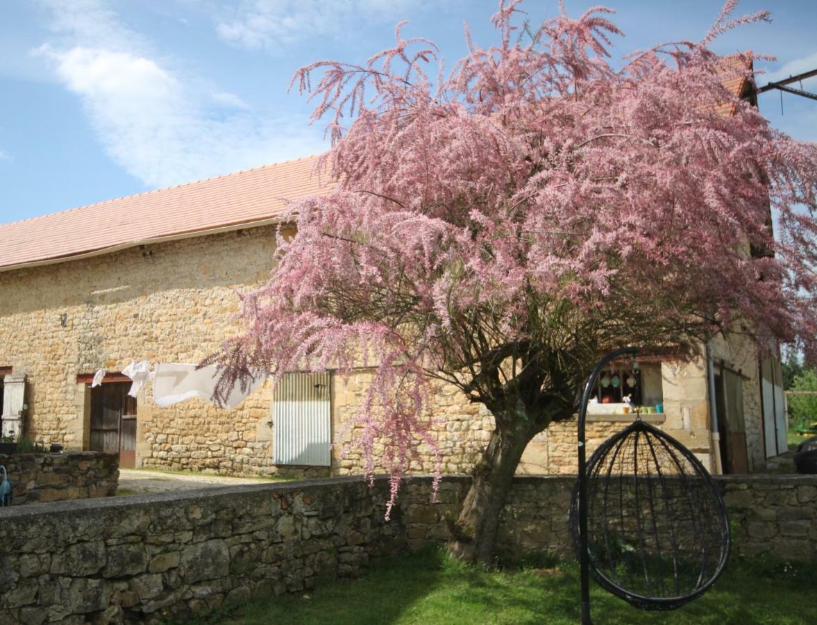 La Maison Du Bonheur Anlhiac ภายนอก รูปภาพ